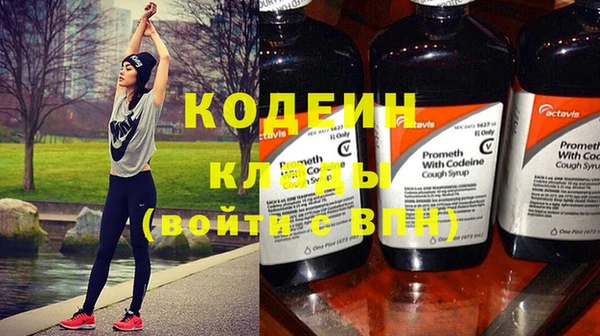 гашик Горняк