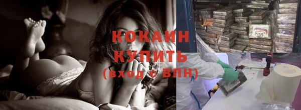 гашик Горняк