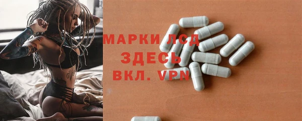 гашик Горняк