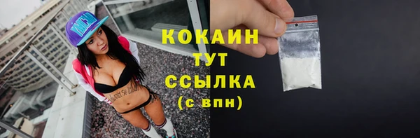гашик Горняк