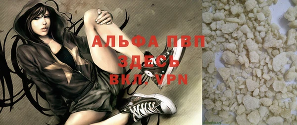 гашик Горняк
