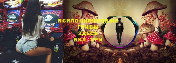 альфа пвп Горно-Алтайск