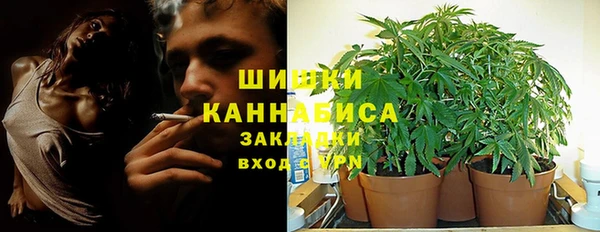 гашик Горняк