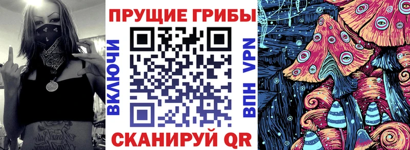 Псилоцибиновые грибы Psilocybe  Купить  Вельск 